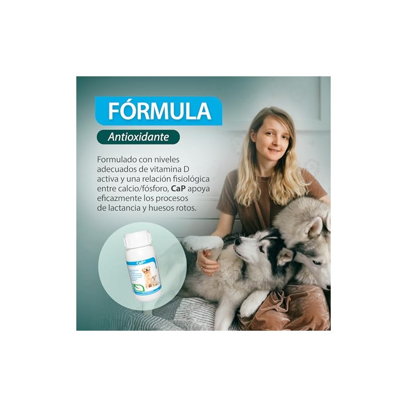 RUILAND Ca-P Suplemento con Vitamina D, Calcio y Fósforo para