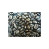 Coffee Beans Classical Coffee Roaster 100% Arabica Beans Colombia Supremo