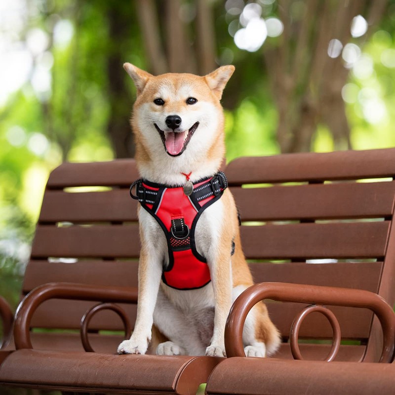 PoyPet 2019 Upgraded No Pull Dog Harness with 4 Snap