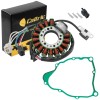 For Yamaha Stator & Gasket for Yamaha Timberwolf 250 YFB250