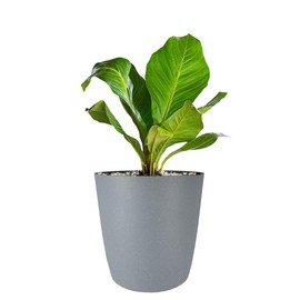 The HC Companies SKR16000A56C008LRDDL Santa Fe Round Plastic Planter, 16", Pebble Gray