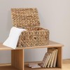 FEIALNDUO Wicker Shelf Baskets with Lid, Seagrass Storage Hamper Basket