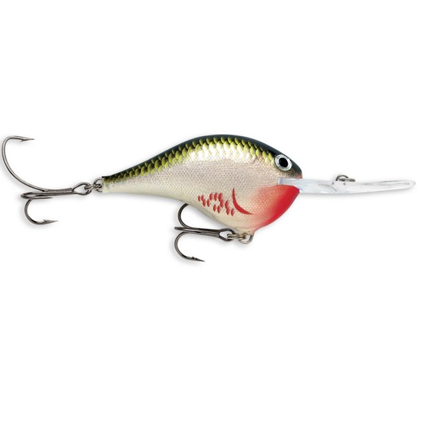Rapala Dives-To 06 Fishing lure, 2-Inch, Bleeding Olive Shiner