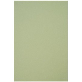 Netuno 10 Sheets of Craft Card Light Green DIN A4 21 x 29.7 cm 250 g Crush Kiwi Fine Paper Printable High Quality Special Cardboard Eco Paper A4 for Business Cards Invitation Cards Wedding Cards