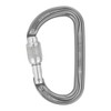 PETZL Am'D Screw Lock Carabiner Grey