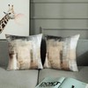 2 Pack Brown Beige Abstract Art Pillow Covers Decorative Throw