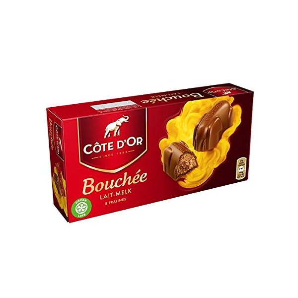 Cote D'Or Milk Chocolate Hazelnut Pralines Bouchee Giftbox, 200g (7.05-ounce), Belgian Chocolate