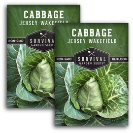 Survival Garden Seeds - Jersey Wakefield Cabbage Seed for Planting - 2 Packs with Instructions to Plant and Grow Cone-Shaped Green Cabbages in Your Home Vegetable Garden - Non-GMO Heirloom Variety