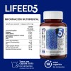 Lifeed Inmune Con Vitamina C Jengibre Equinacea Zinc Curcuma Sabor
