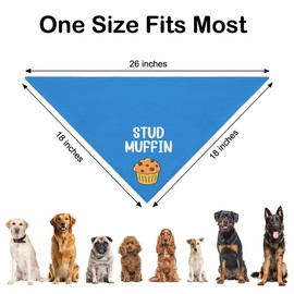 WHTYEFZ Stud Muffin Blue Dog Bandana, Funny Pet Scarf Accessory Photo Prop for Holiday Party, Muffin Foodie Themed Puppy Scarf Gifts for Dog Mom Dad, Christmas Birthday Present for Puppy Lover