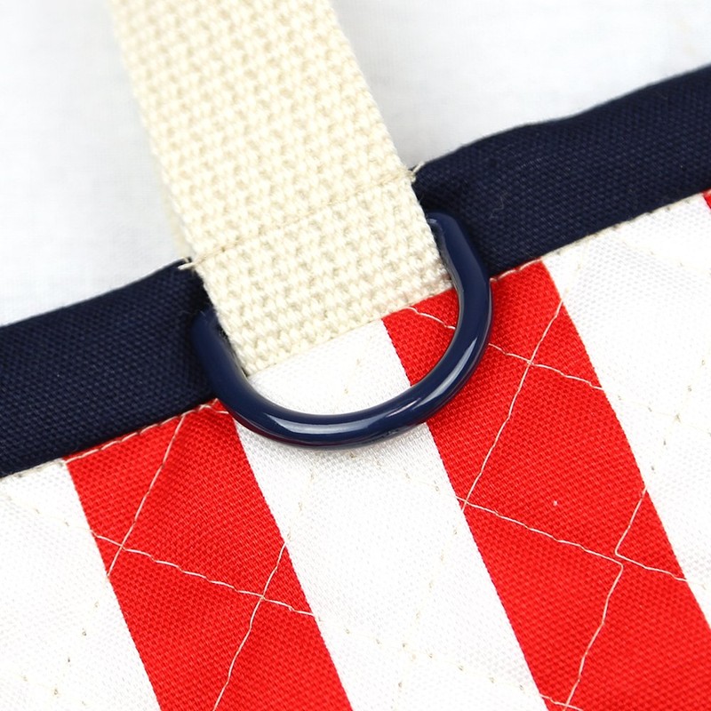 Red Stripe Lessons Bag