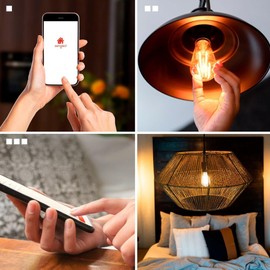 Sengled WiFi Filament ST19 Edison, Amber 2000K (2-pk)