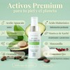Alma Secret Contorno de Ojos Antiedad con Aguacate, Té Verde