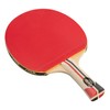 STIGA Blaze and Force Ping Pong Paddle – Hoja de