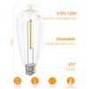 ST40 10 Pack Edison LED Light Bulbs, 0.6W E17 Screw