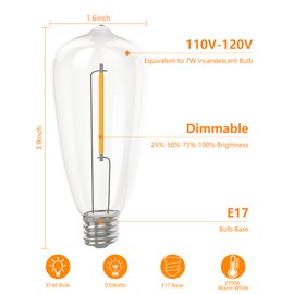 ST40 10 Pack Edison LED Light Bulbs, 0.6W E17 Screw Base Replacement Bulbs, LED Shatterproof Bulbs Clear Plastic Light Bulbs, Hanging Lamps for Indoor Outdoor Wedding Party Show, Warm White