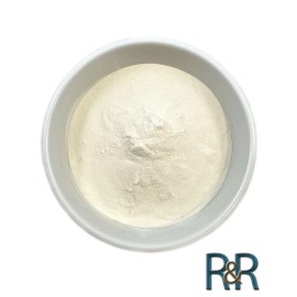 Pure Organic Electrolyte Pineapple Coconut Water Powder Non-GMO Hydrate Energized USA - 100g