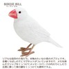 Birdie Bill Realistic Bird Hard Type Toy Doll Figure (Cockatiel)