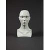 3dtotal Figure Collection Female Planar Bust: 6.4 Inch Tall Head