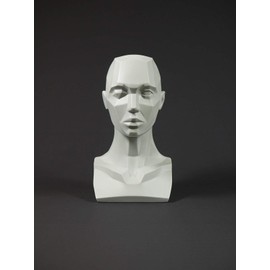 3dtotal Figure Collection Female Planar Bust: 6.4 Inch Tall Head Sculpt, Grey Resin
