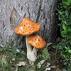 Decoración de cerámica para exteriores, 2 estatuas de hongos para