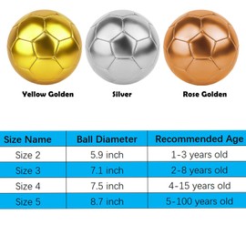 Todosports Soccer Ball Size 3 4 5 DIY Craft Boys Girls Adults Birthday Gift with Pump Needle Training Practice