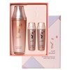 Danahan Bonyeonjin Essence 50ml (Single Item/Planned Item) / 다나한 본연진 에센스 50ml 단품기획 택1