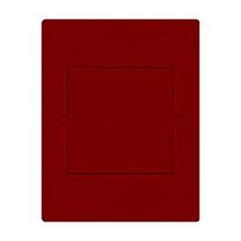 Velourseinlage, dunkelrot, mit einem quadratischen Fach für EIN original eingeschweißtes 10 DM-Gedenkmünzen-Set PP