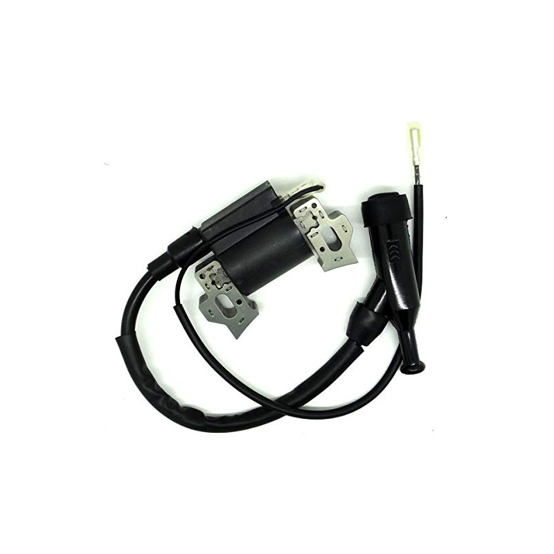 Lumix GC Ignition Coil For Cummins Onan HomeSite Power 2400