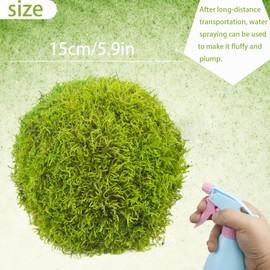FAICOIA Moss Balls Decorative Faux Dried Moss Balls 6" Artificial Balls for Outdoors Large Green Moss Ball Bowl Fillers for Centerpiece Natural Moss Decorative Balls Christmas Home Party Wedding Decor