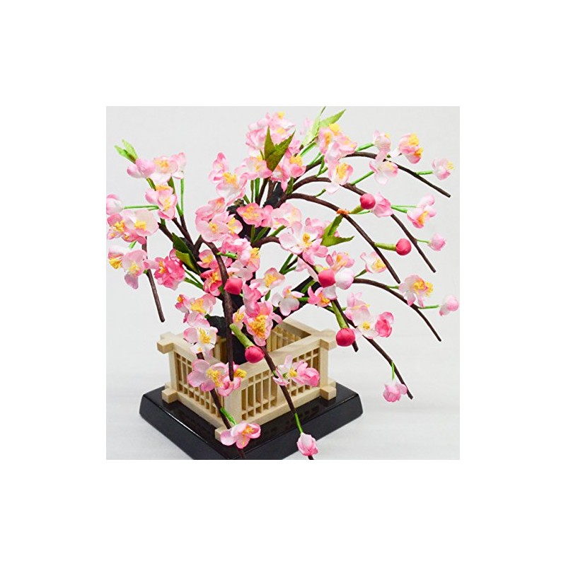 Sakura Tachibana Gion No. 25 (Horazono for Hinamatsuri Dolls)