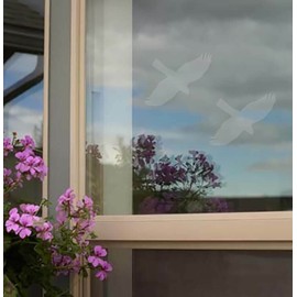 Songbird Essentials WindowAlert Hawk Anti-Collision Decal (SE7015) - UV-Reflective Window Decal to Protect Wild Birds from Glass Collisions - Made in The USA