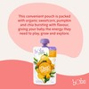 Bubs Organic Sweetcorn, Pumpkin & Chia Pouch, 6+ Months Baby
