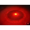 WAYLLSHINE (Pack of 2) One Mode Red Light Flashlight, Single
