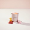 Chesapeake Bay Candle Intentions Collection Candle, Be Thoughtful: Show yourself