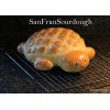 SanFranSourdough California SOUR STARTER tangy active strong Sourdough bread Organic