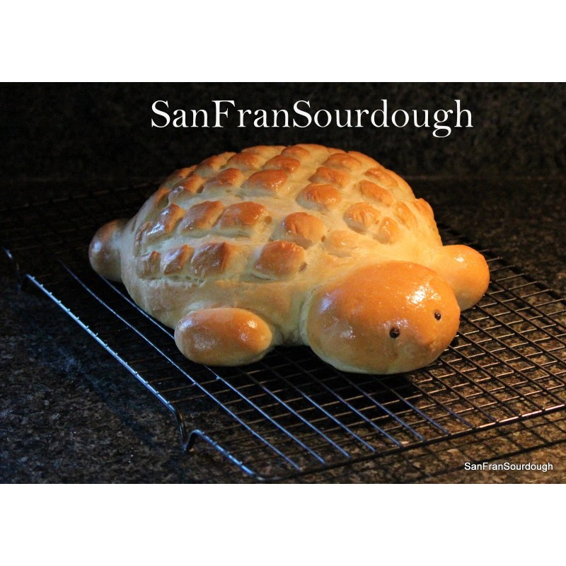 SanFranSourdough California SOUR STARTER tangy active strong Sourdough bread Organic