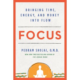 Focus: Bringing Time, Energy, and Money into Flow