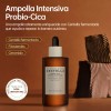 Skin1004 Madagascar Centella Probio-cica Set Calmante 4 Pzs
