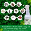 Spritz 001 Organic Home Pest Control Spray, White