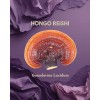 Extracto Hongo Reishi Ultra Concentrado 30ml