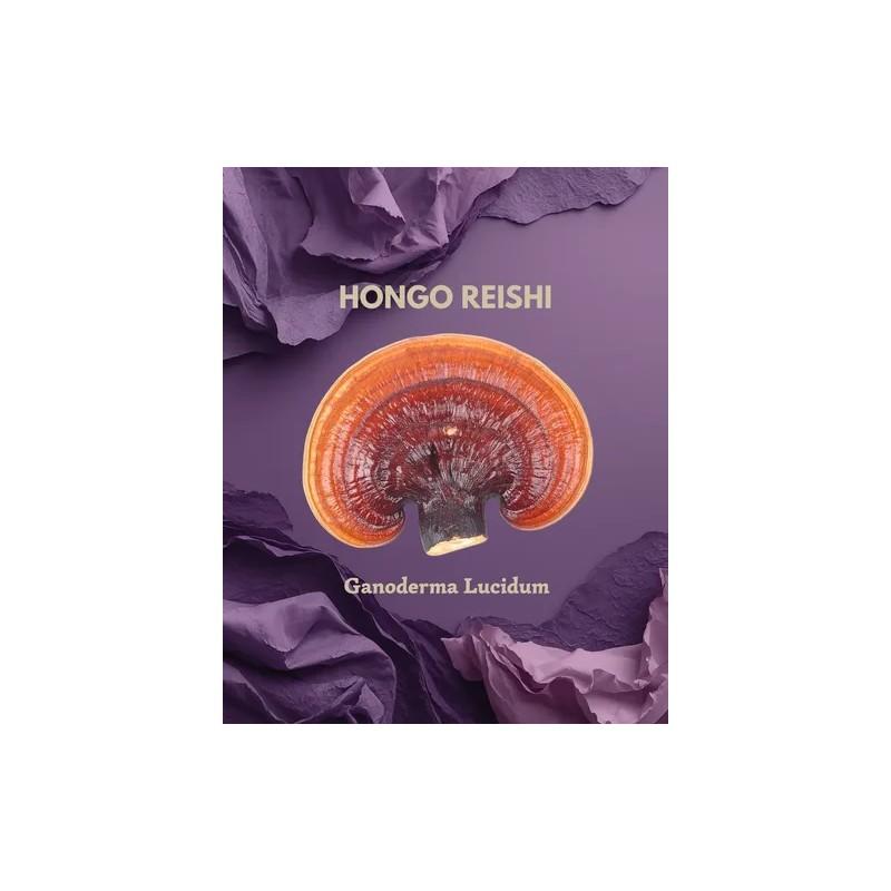 Extracto Hongo Reishi Ultra Concentrado 30ml