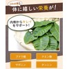 Color Farm Domestically Produced Loquat Leaf Tea Bag 0.1 oz
