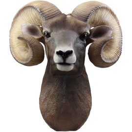 Ebros Wildlife Rustic Rocky Mountains Bighorn Sheep Ram Trophy Taxidermy Wall Decor Sculpture Hanging Plaque Hunters Cabin Lodge Country Farmhouse Nature Figurine 15"H