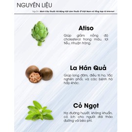 02Boxes (25 Teabags/box x 2g) - Han Fruit Artichoke Tea Hung Phat - Tra Atiso La Han Qua Hung Phat