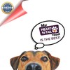 HEART TO TAIL 15 Trays Wet Dog Food 3.5 OZ