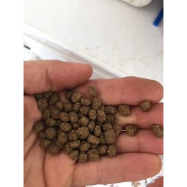 Jeffery John 1-lb - 13-lb" BULK FLOATING PELLET FISH FOOD FOR KOI GOLDFISH - POND PELLETS - 2 pounds