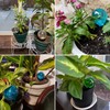 Nowaca Plant Watering Globes, 12PCS Self Watering Globes, Plastic Plant