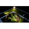 Steinel LED Spotlight Garden N, 7.86 W Floor Spotlight with