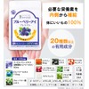 Wagashi Life "Blueberry Eye" (31 tablets per bag for about